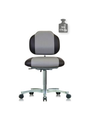 Ergonomischer Arbeitsstuhl WS 1389.20